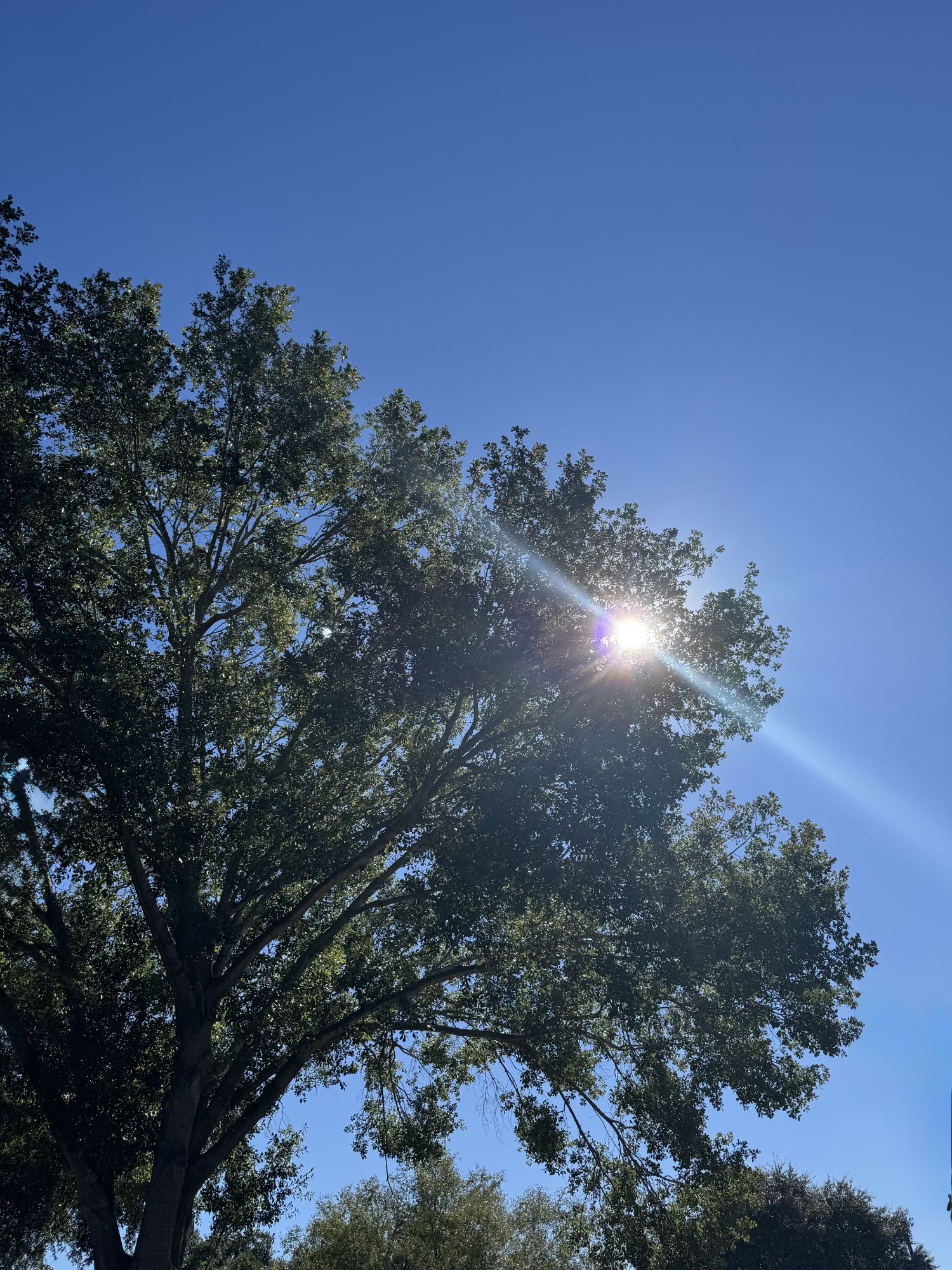 Example Morning Picture 🌞Early morning photos – Love, Life, Happiness & More